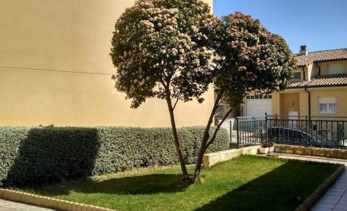 mantenimiento-de-jardines-comunidad-de-vecinos-02