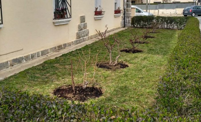 mantenimiento-de-jardines-comunidad-de-vecinos Mantenimiento en una comunidad de vecinos