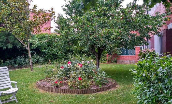 mantenimiento-de-jardines-irabia-02