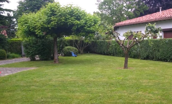 mantenimiento-de-jardines-iraizoz-03