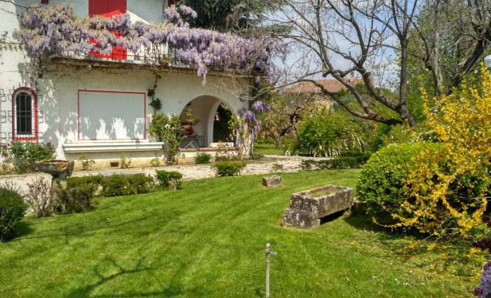 mantenimiento-de-jardines-navarra-2