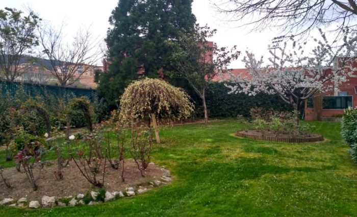 mantenimiento-de-jardines-navarra