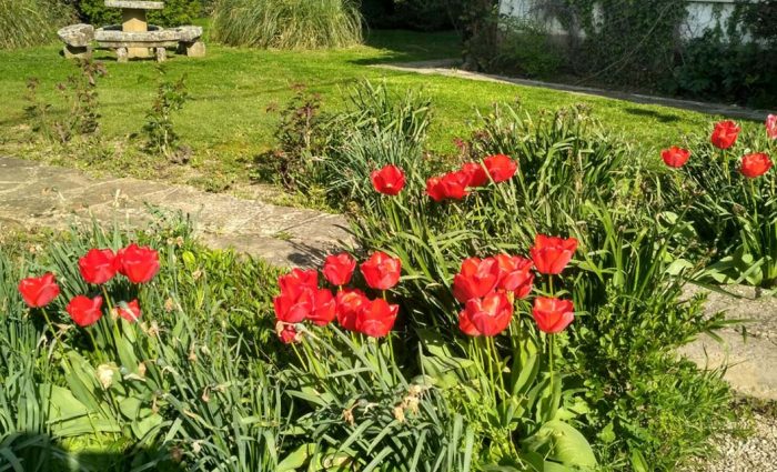 mantenimiento-de-jardines-pamplona-beloso-01