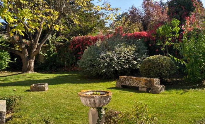 mantenimiento-de-jardines-pamplona-beloso-02