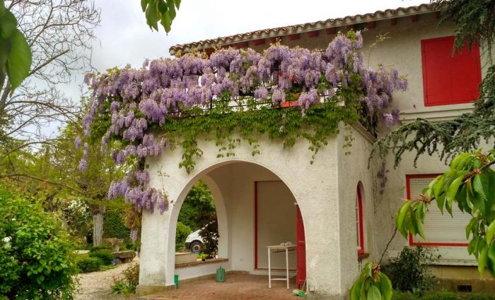 mantenimiento-de-jardines-pamplona-beloso-03