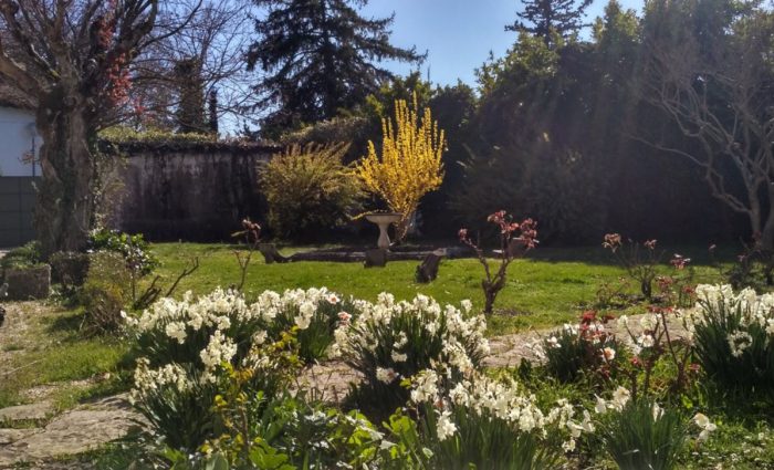 mantenimiento-de-jardines-pamplona-beloso-flores
