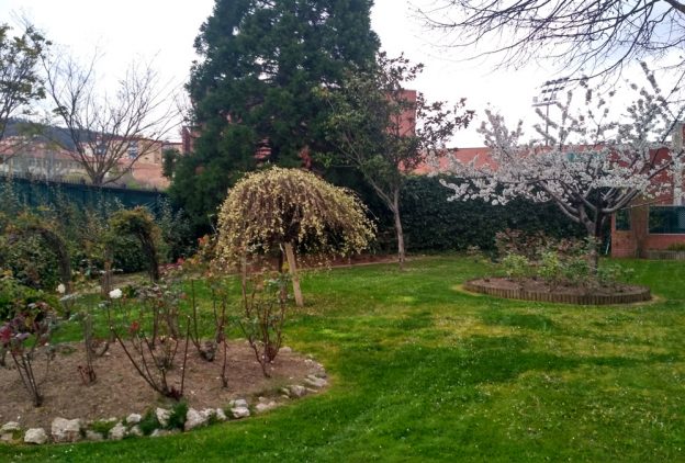 Mantenimiento integral de tu Jardín Mantenimiento integral de tu Jardín