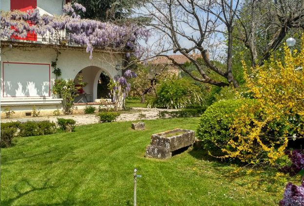 Mantenimiento integral de tu Jardín Mantenimiento integral de tu Jardín