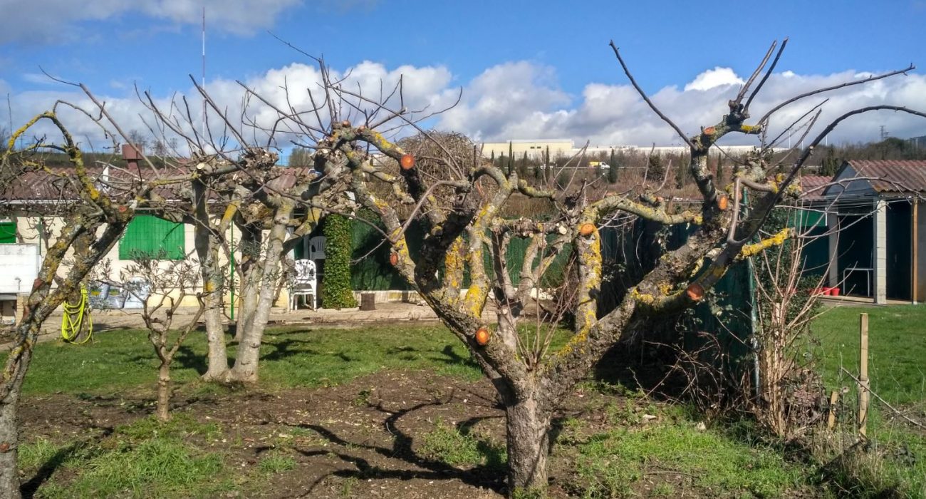 poda-frutales-navarra